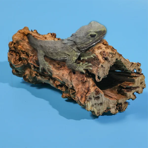 Aquarium Hideout Caves Fish Tank Hollow Tree Trunk Ornament Wood Hideout Shelter Landscape Decoration For Small Lizards Reptiles